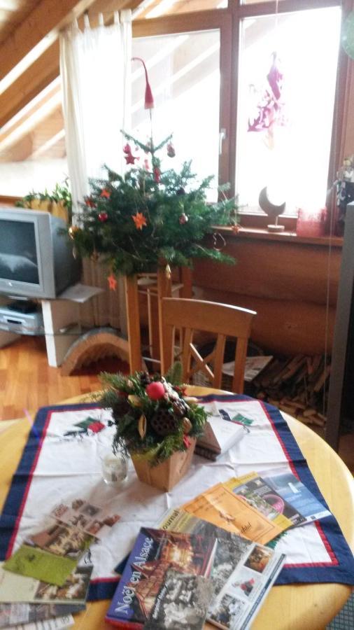 Blockhaus-Ferienwohnung Oppenau Zewnętrze zdjęcie